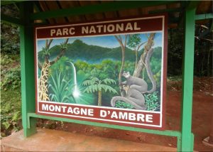 ambre