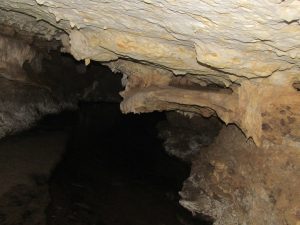 IMG_8175