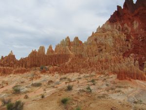 IMG_8071